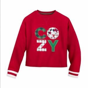 Disney Mickey and Minnie Mouse Holiday Pullover Sweatshirt- size XL NWT